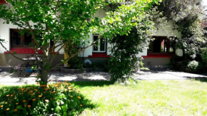 Pura Vida Hostel